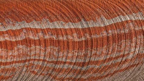 China finally settles new potash contract – but will it s... - CRU Group