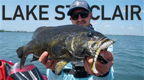 His Biggest Lake St Clair Smallmouth Bass Ever Fishing Swimbaits