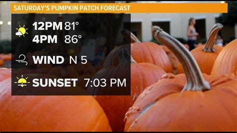 Naked Arizona Man Goes On Carjacking Spree Firstcoastnews