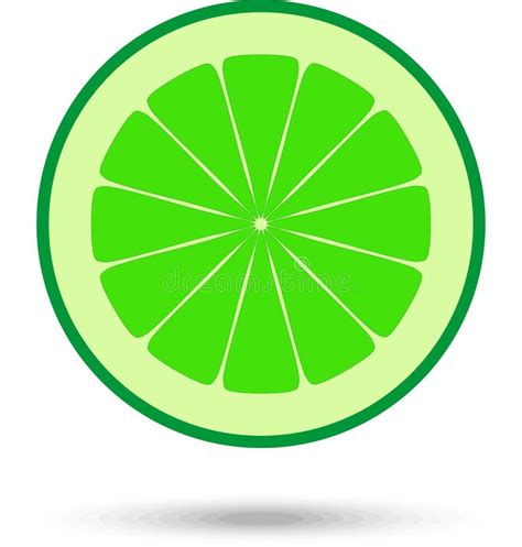 Lime Slice. Vector Illustration Stock Vector - Illustration of ...