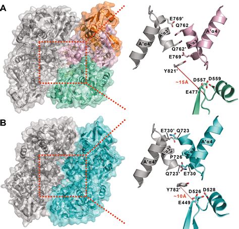 Structural Basis Of Type II Topoisomerase Inhibition By The Anticancer