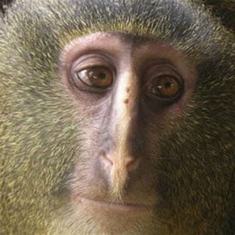 Stream Extra Horny Feat Erotica By Sjw7 Listen Online For Free On SoundCloud