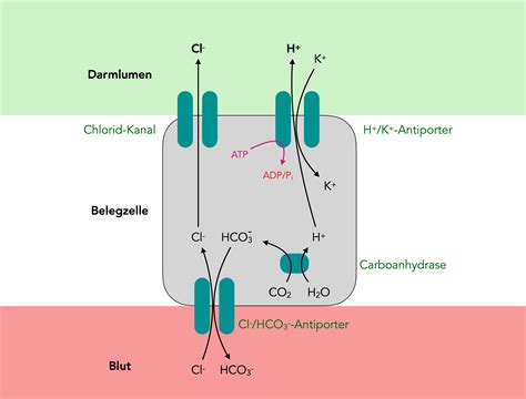 Chlorid