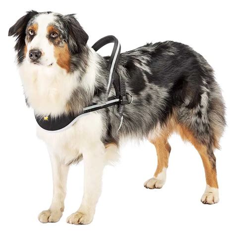 Ferplast Ergocomfort Harness Black | Horse Riding