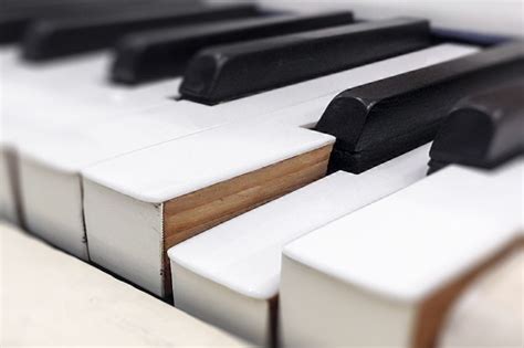 Ivory Color - Exploring Different Shades of Ivory and Cream Colors