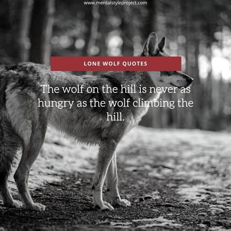 40+ Inspirational Lone Wolf Quotes To Motivate You! - MSP