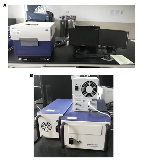 通过高内涵成像分析系统进行小分子与溶酶体共定位分析及溶酶体通膜透性检测 —bio 101