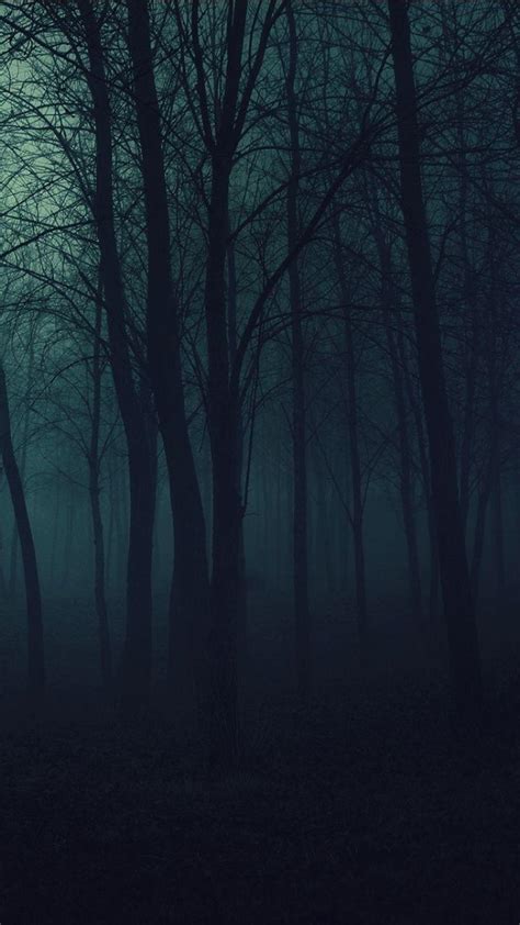 Dark Forest Phone Wallpapers - Top Free Dark Forest Phone Backgrounds - WallpaperAccess