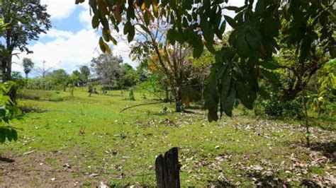 Linda Propiedad En San Jos De Upala Alajuela En Upala Terrenos