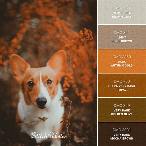 Corgi Colors - Embroidery Color Palette (With Thread Codes)