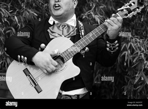 Traditional Mariachi Musician Mexican Singer Stock Photo - Alamy