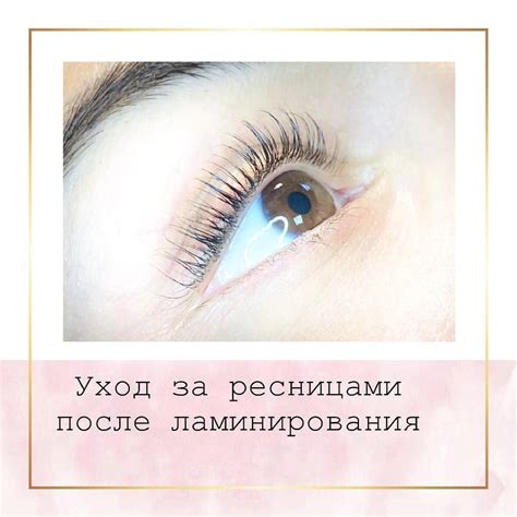 По сути, никакого специального ухода после ламинирования ресниц не ...