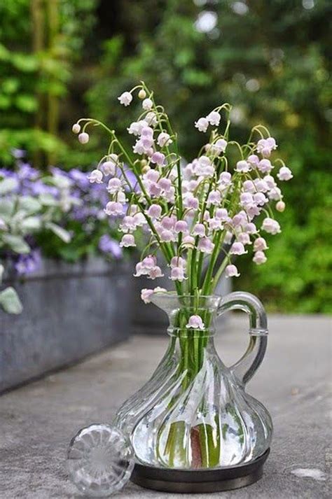 Pourquoi Offre T On Du Muguet Au 1er Mai Muguet Rose Muguet