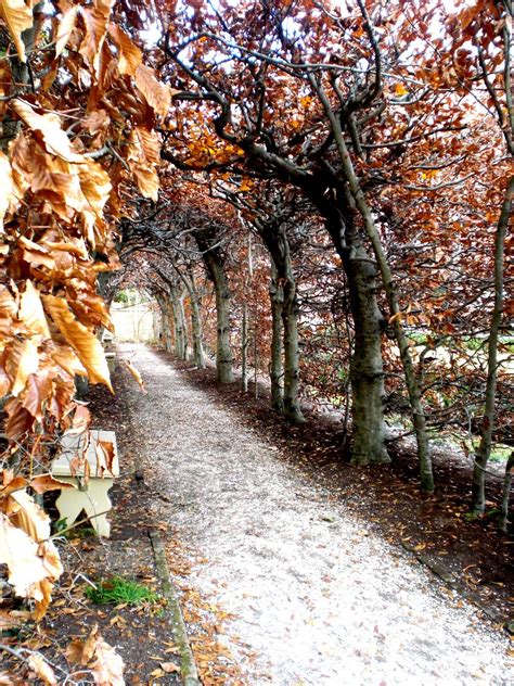 Colonial Williamsburg: Hidden Gem Behind the Palace