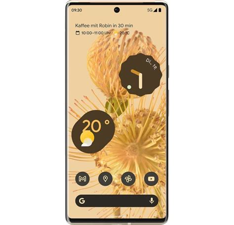 Rent Google Pixel 6 Pro Smartphone 128 GB Dual SIM From 24 90 Per