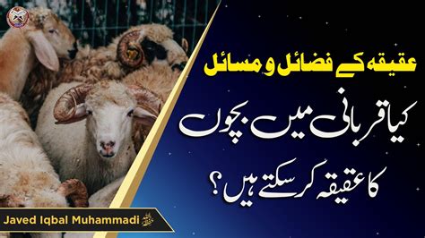 Aqeeqah Ke Fazail O Masail Kya Qurbani Me Bachon Ka Aqeeqah Kar Sakte