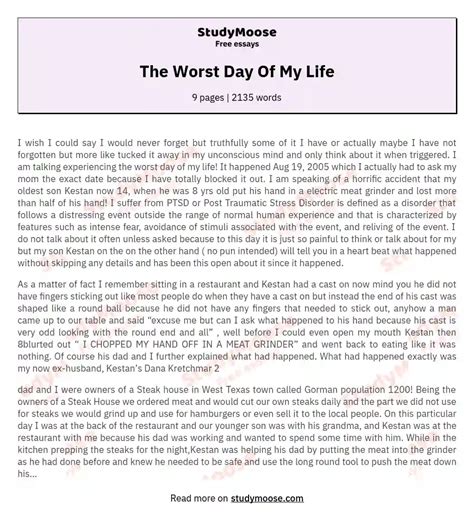 The Worst Day Of My Life Free Essay Example