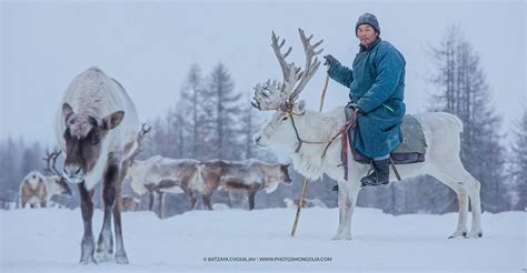 Mongolia in winter