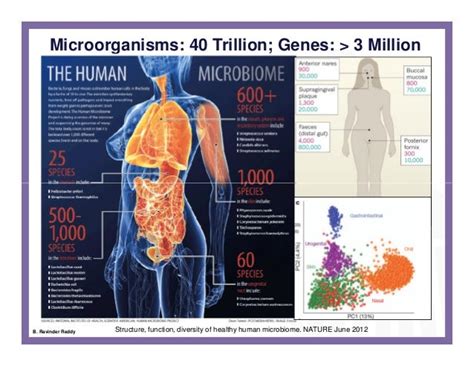 Human Microbiome An Evolving Clinical Frontier