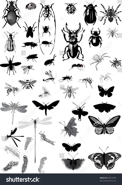 Illustration Insect Silhouettes Isolated On White Stock Vector Royalty