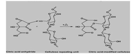 Proposed Reaction Between Citric Acid And The Cellulose In Mol To Download Scientific Diagram