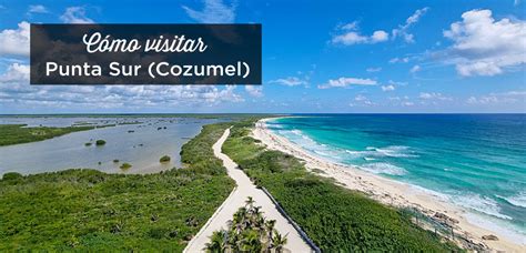 Introducir 90 Imagen Cosas Que Hacer En Cozumel Gratis Abzlocal Mx