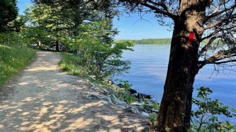 The Best Things To Do At Lake Anna State Park With Kids Zuzuforkids