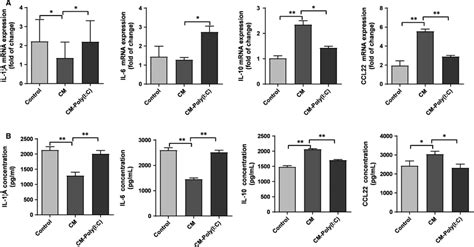 Cytokine Secretion Profiles Of Thp Derived Macrophages Were Regulated