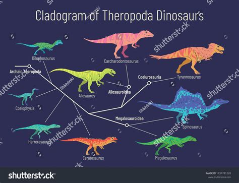 Cladogram Theropoda Dinosaurs Colorful Vector Illustration Stock Vector ...