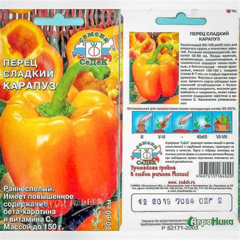 sweet pepper Karapuz ,Карапуз