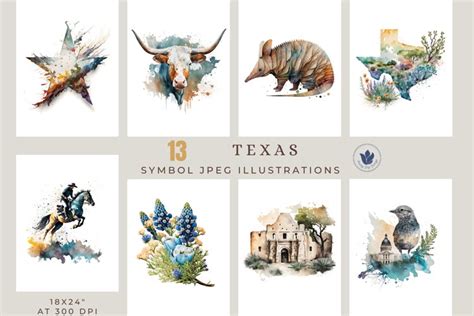 Texas Symbol Illustrations 13 Jpeg Files