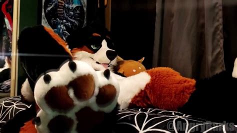 Horny Pup Humps His Own Paws Pornhub