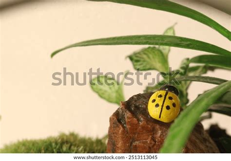 4 Ladybug Porn Images Stock Photos And Vectors Shutterstock