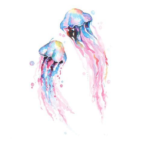 Hand Drawn Jellyfish Watercolor Vector Art At Vecteezy