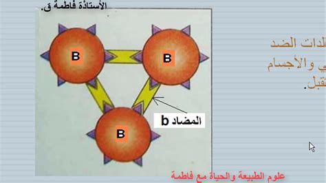 الذات واللاذات الزمر الدموية الجزء الأول Youtube