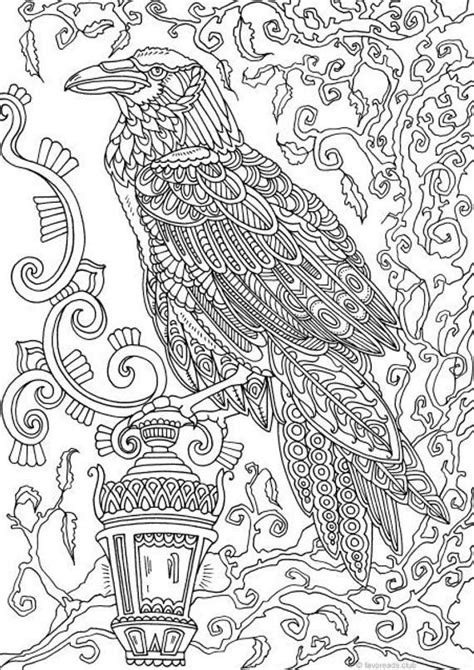 Raven Bird Coloring Pages - Ferrisquinlanjamal