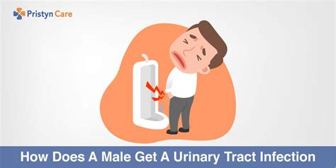 Can An Inguinal Hernia Lead To A Uti Exploring The Connection