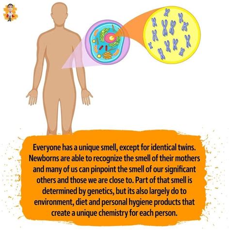 Fascinating Facts About Identical Twins and Genetics