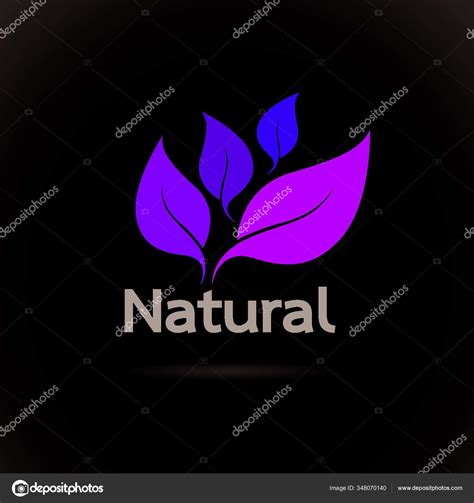 Natural Logo Design Vector Template White Background Leaf Icon Stock