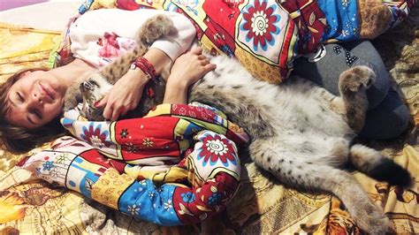 Рысь- это лучшая грелка! - YouTube