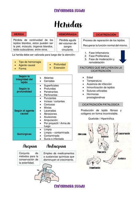 Primeros Auxilios Heridas Y Hemorragias Apuntes De Enfermería