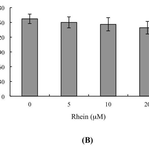 Effects Of Rhein On The In Vivo Implantation Resorption Fetal