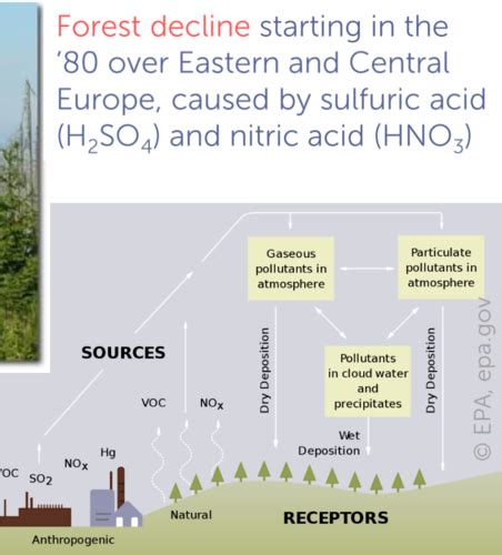 Chapter 7: What Are the Causes of Plant Disease: Abiotic Factors ...