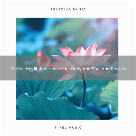 Perfect Meditation Heals Your Body And Soul And Revives Album By