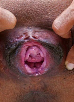 Ebony Black Nude Dressed Undressed Luscious Hentai Manga Porn