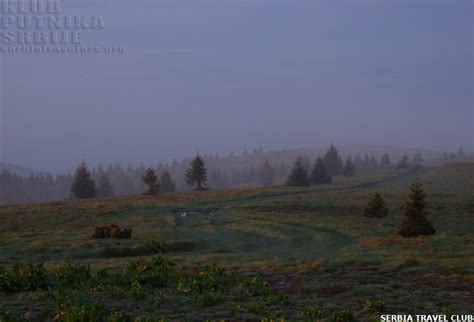 Golija - peto noćno planinarenje