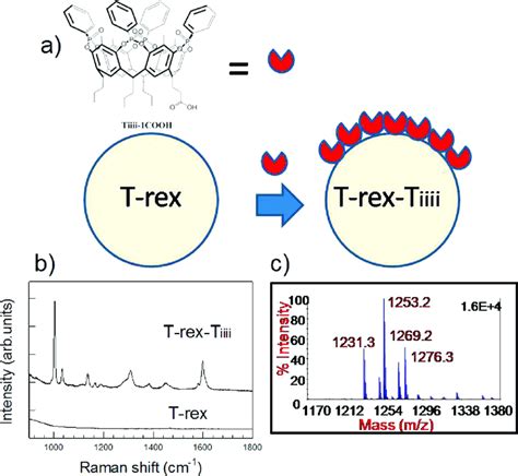 A Scheme Of T Rex Functionalization With Tiiii Cavitands B Raman Download Scientific