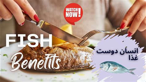 Machli Khane Ka Fayde Fish Benefits For Health In Urdu Cholesterol