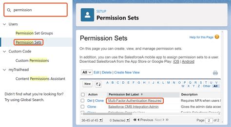 Assign A Permission Set To Multiple Users Lumary