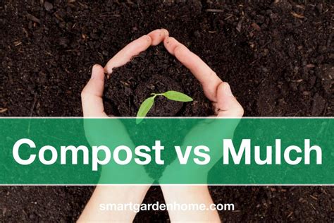 Compost Vs Mulch Whats The Difference Smart Garden And Home